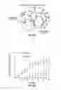 Fig. 68 - Methods for evaluating brain-wide paravascular pathway for waste clearance function and methods for treating neurodegenerative disorders based thereon