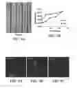 Fig. 08 - Chemical gradients