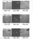 Fig. 09 - Chemical gradients