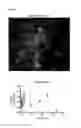 Fig. 06 - REPORTER SCAFFOLDS