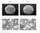Fig. 01 - Composite Matrix for Bone Repair Applications