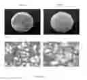 Fig. 02 - Composite Matrix for Bone Repair Applications