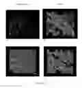 Fig. 07 - Composite Matrix for Bone Repair Applications