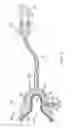 Fig. 04 - Methods and apparatus for transferring pressure during expression of human breast milk