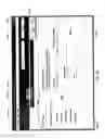 Fig. 41 - Interface for medical infusion pump