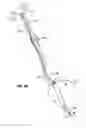 Fig. 08 - URETERAL STENT AND METHOD AND SYSTEM FOR ITS DEPLOYMENT