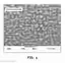 Fig. 07 - Medical device with a structured coating