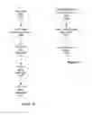 Fig. 12 - SYSTEM AND METHOD FOR DETERMINING TARGET STIMULATION VOLUMES