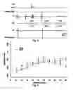 Fig. 05 - SELECTIVE BLOCK OF NERVE ACTION POTENTIAL CONDUCTION