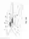 Fig. 16 - Systems, methods and devices for a skull/brain interface