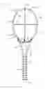 Fig. 01 - Racquet configured with fewer cross strings than main strings