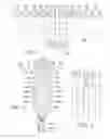 Fig. 02 - Training Device for Golf Stroke Direction