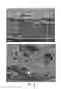 Fig. 02 - Filtration membranes
