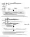 Fig. 06 - Microarray synthesis and assembly of gene-length polynucleotides