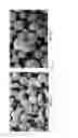 Fig. 02 - Catalyst for low temperature slurry bed Fischer-Tropsch synthesis