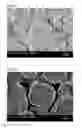 Fig. 06 - Zeolite, method for manufacturing zeolite, honeycomb catalyst, and exhaust gas purifying apparatus
