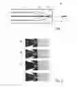 Fig. 02 - Method and device of producing an intermittent liquid jet