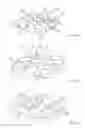 Fig. 03 - Ironing ring having a microstructure