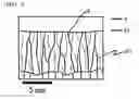 Fig. 05 - Surface-coated cutting tool