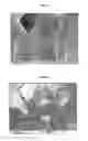 Fig. 09 - Method for Nano-Structuring Polmer Materials Using Pulsed Laser Radiation in an Inert Atmosphere