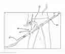 Fig. 01 - Apparatus for sliding auxiliary handle