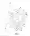 Fig. 07 - Blow molding device for a rotary bottle blowing machine and a method for using the same