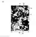 Fig. 05 - Decorated parts with design containing coat layer