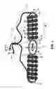 Fig. 02 - DECORATIVE SYSTEM WITH REMOVABLE EMBLEMS FOR COMMEMORATING LIFE EVENTS