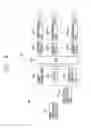 Fig. 08 - Electronic device, electric vehicle, and wireless electric power transmission device