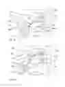 Fig. 09 - Fitting for a vehicle seat, method for assembling a fitting for a vehicle seat, and vehicle seat