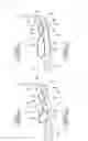 Fig. 04 - Curtain airbag