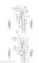 Fig. 07 - Curtain airbag