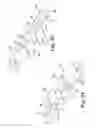 Fig. 07 - Mud flap assemblies