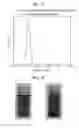 Fig. 08 - Nano-diamond dispersion solution and method for preparing same