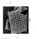 Fig. 10 - Diatomaceous energy storage devices