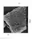 Fig. 16 - Diatomaceous energy storage devices