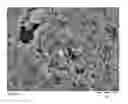 Fig. 01 - Process for preparing a boron containing zeolitic material having MWW framework structure