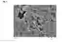 Fig. 02 - Process for preparing a boron containing zeolitic material having MWW framework structure