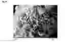 Fig. 07 - Process for preparing a boron containing zeolitic material having MWW framework structure