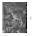 Fig. 03 - Molecular sieve SSZ-98