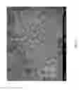 Fig. 06 - Molecular sieve SSZ-98
