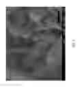 Fig. 07 - Molecular sieve SSZ-98