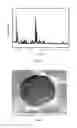 Fig. 02 - ZSM-5 type molecular sieve synthesis method