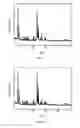 Fig. 04 - ZSM-5 type molecular sieve synthesis method