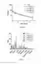 Fig. 09 - Methods and compositions for radiohalogen protein labeling