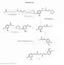 Fig. 02 - Synthesis of calebin-A and its biologically active analogs