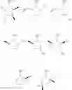 Fig. 13 - Synthesis of acyclic and cyclic amines using iron-catalyzed nitrene group transfer