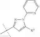 Fig. 09 - Neprilysin inhibitors