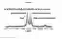 Fig. 07 - PERFLUORO-TERT-BUTYL HYDROXYPROLINE