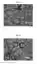 Fig. 02 - Substituted 1-pyrrolidinyloxy, 1-piperidinyloxy and 1-azepanyloxy compounds for treating diseases associated with oxidative stress or endothelial dysfunction